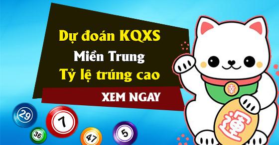 Công nghệ bóc vỏ tôm hùm - ảnh 5